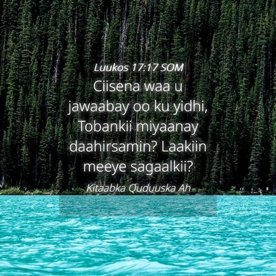 Picture 04 - Luukos 17:17 SOM - Ciisena waa u jawaabay oo ku yidhi, Tobankii - Bible Verse Picture