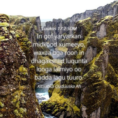 Picture 04 - Luukos 17:2 SOM - In qof yaryarkan midkood xumeeyo, waxaa uga roon - Bible Verse Picture