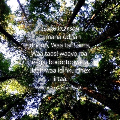Picture 04 - Luukos 17:21 SOM - Lamana odhan doono, Waa tan! ama, Waa taas! - Bible Verse Picture