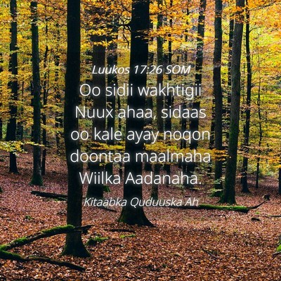 Picture 04 - Luukos 17:26 SOM - Oo sidii wakhtigii Nuux ahaa, sidaas oo kale ayay - Bible Verse Picture