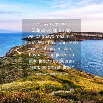 Picture 04 - Luukos 17:28 SOM - Sidaas oo kale ayay weliba ahayd maalmihii Luud. - Bible Verse Picture
