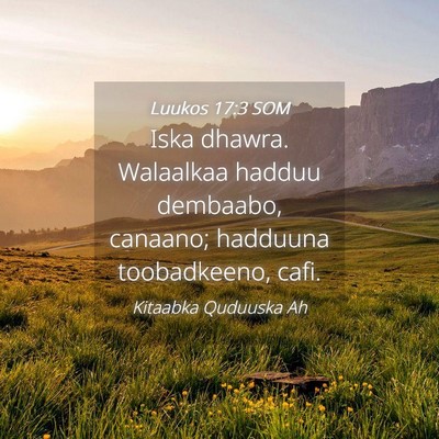 Picture 04 - Luukos 17:3 SOM - Iska dhawra. Walaalkaa hadduu dembaabo, canaano; - Bible Verse Picture