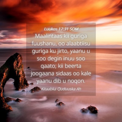 Picture 04 - Luukos 17:31 SOM - Maalintaas kii guriga fuushanu, oo alaabtiisu - Bible Verse Picture
