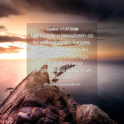 Picture 04 - Luukos 17:37 SOM - Markaasay u jawaabeen oo ku yidhaahdeen, Xaggee, - Bible Verse Picture