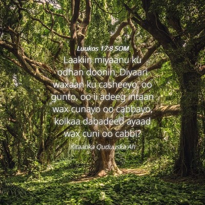 Picture 04 - Luukos 17:8 SOM - Laakiin miyaanu ku odhan doonin, Diyaari waxaan - Bible Verse Picture