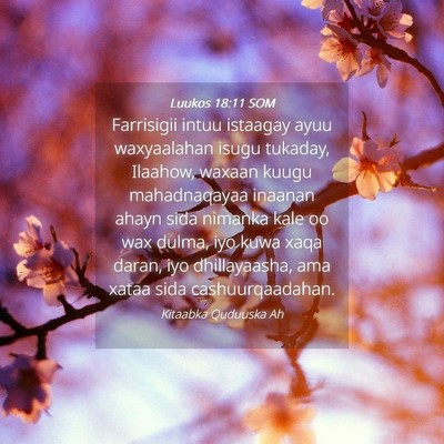 Picture 04 - Luukos 18:11 SOM - Farrisigii intuu istaagay ayuu waxyaalahan isugu - Bible Verse Picture