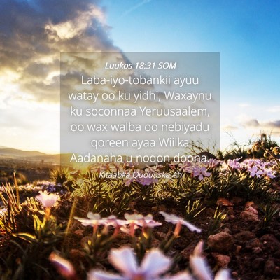 Picture 04 - Luukos 18:31 SOM - Laba-iyo-tobankii ayuu watay oo ku yidhi, Waxaynu - Bible Verse Picture