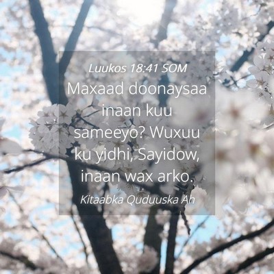 Picture 04 - Luukos 18:41 SOM - Maxaad doonaysaa inaan kuu sameeyo? Wuxuu ku - Bible Verse Picture