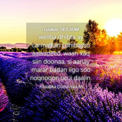 Picture 04 - Luukos 18:5 SOM - weliba dhibta ay carmalkan i dhibayso aawadeed, - Bible Verse Picture