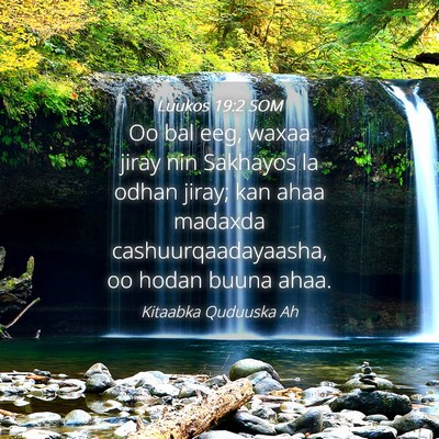 Picture 04 - Luukos 19:2 SOM - Oo bal eeg, waxaa jiray nin Sakhayos la odhan - Bible Verse Picture