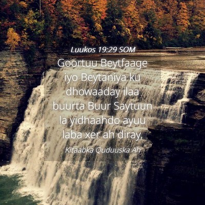 Picture 04 - Luukos 19:29 SOM - Goortuu Beytfaage iyo Beytaniya ku dhowaaday ilaa - Bible Verse Picture