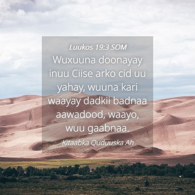 Picture 04 - Luukos 19:3 SOM - Wuxuuna doonayay inuu Ciise arko cid uu yahay, - Bible Verse Picture