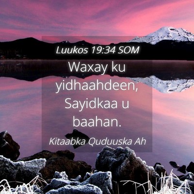 Picture 04 - Luukos 19:34 SOM - Waxay ku yidhaahdeen, Sayidkaa u - Bible Verse Picture