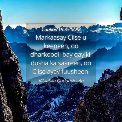 Picture 04 - Luukos 19:35 SOM - Markaasay Ciise u keeneen, oo dharkoodii bay - Bible Verse Picture