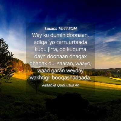 Picture 04 - Luukos 19:44 SOM - Way ku dumin doonaan, adiga iyo carruurtaada kugu - Bible Verse Picture