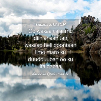 Picture 04 - Luukos 2:12 SOM - Oo waxaa calaamo idiin ahaan tan, waxaad heli - Bible Verse Picture