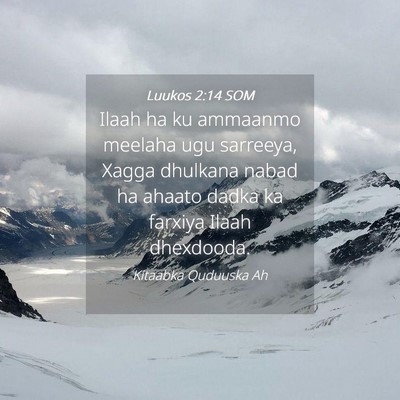 Picture 04 - Luukos 2:14 SOM - Ilaah ha ku ammaanmo meelaha ugu sarreeya, Xagga - Bible Verse Picture