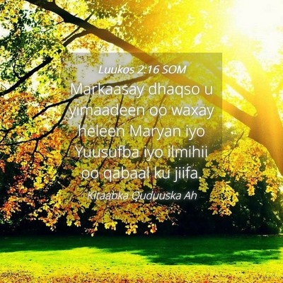 Picture 04 - Luukos 2:16 SOM - Markaasay dhaqso u yimaadeen oo waxay heleen - Bible Verse Picture