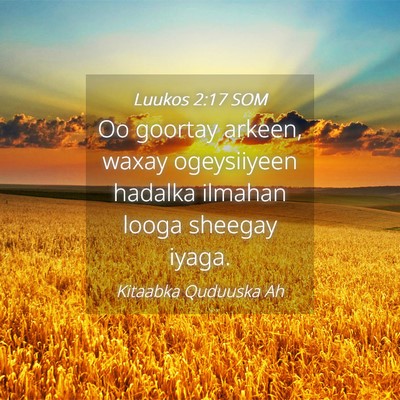 Picture 04 - Luukos 2:17 SOM - Oo goortay arkeen, waxay ogeysiiyeen hadalka - Bible Verse Picture