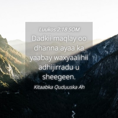 Picture 04 - Luukos 2:18 SOM - Dadkii maqlay oo dhanna ayaa ka yaabay - Bible Verse Picture