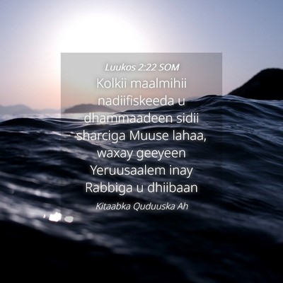Picture 04 - Luukos 2:22 SOM - Kolkii maalmihii nadiifiskeeda u dhammaadeen - Bible Verse Picture
