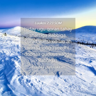 Picture 04 - Luukos 2:23 SOM - (siday ugu qoran tahay sharciga Rabbiga, Curad - Bible Verse Picture