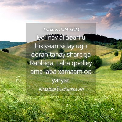 Picture 04 - Luukos 2:24 SOM - iyo inay allabari u bixiyaan siday ugu qoran - Bible Verse Picture
