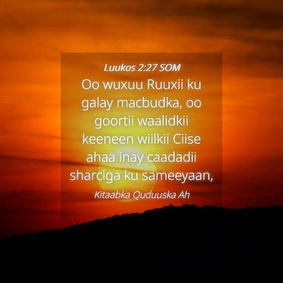 Picture 04 - Luukos 2:27 SOM - Oo wuxuu Ruuxii ku galay macbudka, oo goortii - Bible Verse Picture