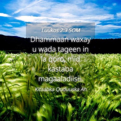 Picture 04 - Luukos 2:3 SOM - Dhammaan waxay u wada tageen in la qoro, mid - Bible Verse Picture
