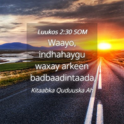 Picture 04 - Luukos 2:30 SOM - Waayo, indhahaygu waxay arkeen - Bible Verse Picture