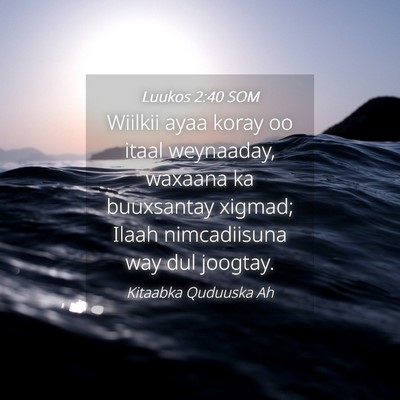 Picture 04 - Luukos 2:40 SOM - Wiilkii ayaa koray oo itaal weynaaday, waxaana ka - Bible Verse Picture