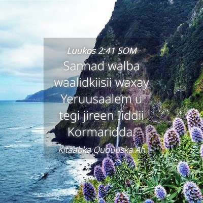 Picture 04 - Luukos 2:41 SOM - Sannad walba waalidkiisii waxay Yeruusaalem u - Bible Verse Picture