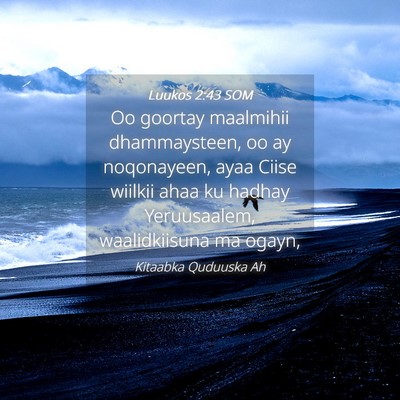 Picture 04 - Luukos 2:43 SOM - Oo goortay maalmihii dhammaysteen, oo ay - Bible Verse Picture