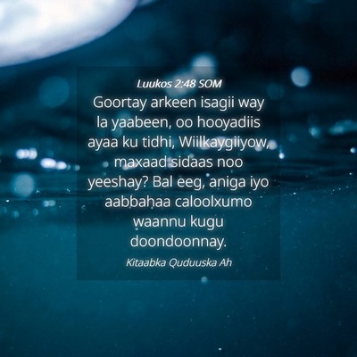 Picture 04 - Luukos 2:48 SOM - Goortay arkeen isagii way la yaabeen, oo - Bible Verse Picture