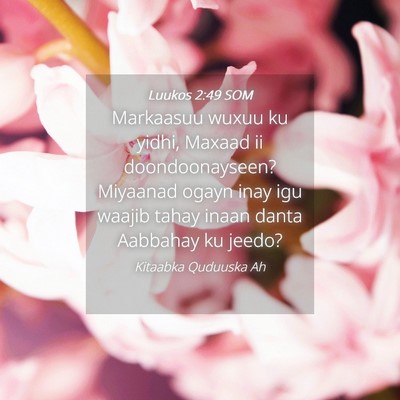 Picture 04 - Luukos 2:49 SOM - Markaasuu wuxuu ku yidhi, Maxaad ii - Bible Verse Picture