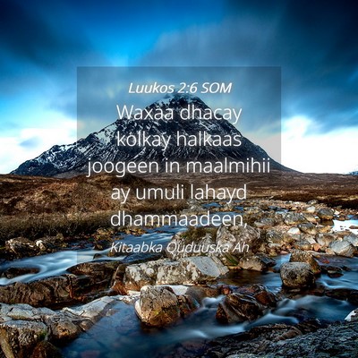 Picture 04 - Luukos 2:6 SOM - Waxaa dhacay kolkay halkaas joogeen in maalmihii - Bible Verse Picture