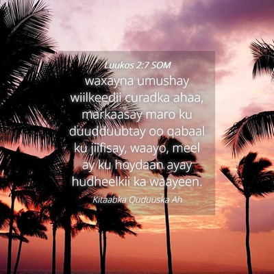 Picture 04 - Luukos 2:7 SOM - waxayna umushay wiilkeedii curadka ahaa, - Bible Verse Picture