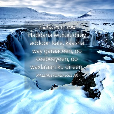 Picture 04 - Luukos 20:11 SOM - Haddana wuxuu diray addoon kale, kaasna way - Bible Verse Picture