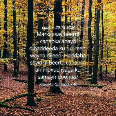 Picture 04 - Luukos 20:15 SOM - Markaasay beertii canabka ahayd dibaddeeda ku - Bible Verse Picture