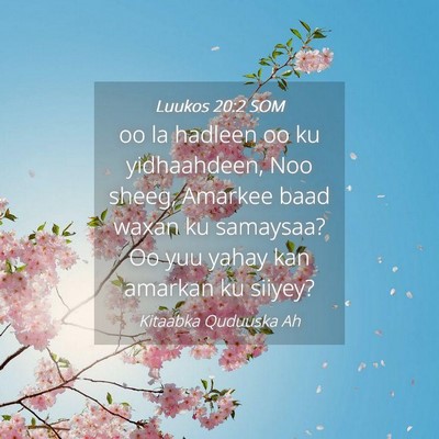 Picture 04 - Luukos 20:2 SOM - oo la hadleen oo ku yidhaahdeen, Noo sheeg, - Bible Verse Picture