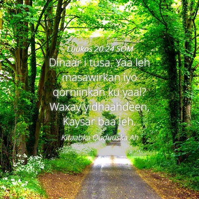 Picture 04 - Luukos 20:24 SOM - Dinaar i tusa. Yaa leh masawirkan iyo qorniinkan - Bible Verse Picture