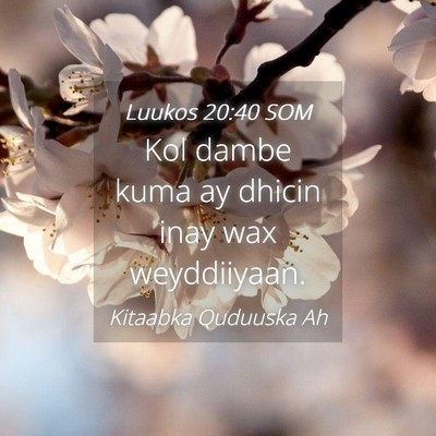 Picture 04 - Luukos 20:40 SOM - Kol dambe kuma ay dhicin inay wax - Bible Verse Picture