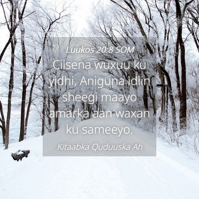 Picture 04 - Luukos 20:8 SOM - Ciisena wuxuu ku yidhi, Aniguna idiin sheegi - Bible Verse Picture