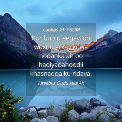 Picture 04 - Luukos 21:1 SOM - Kor buu u eegay, oo wuxuu arkay kuwa hodanka ah - Bible Verse Picture