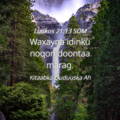 Picture 04 - Luukos 21:13 SOM - Waxayna idinku noqon doontaa - Bible Verse Picture