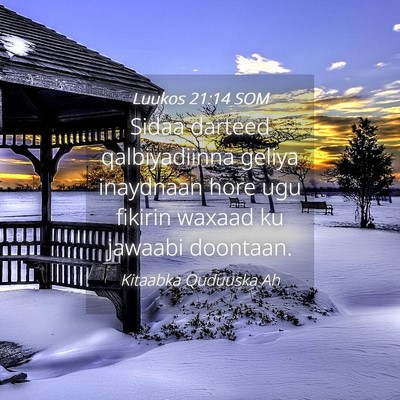 Picture 04 - Luukos 21:14 SOM - Sidaa darteed qalbiyadiinna geliya inaydnaan hore - Bible Verse Picture