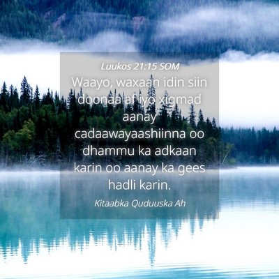 Picture 04 - Luukos 21:15 SOM - Waayo, waxaan idin siin doonaa af iyo xigmad - Bible Verse Picture