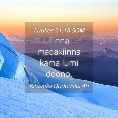 Picture 04 - Luukos 21:18 SOM - Tinna madaxiinna kama lumi - Bible Verse Picture