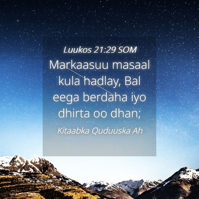 Picture 04 - Luukos 21:29 SOM - Markaasuu masaal kula hadlay, Bal eega berdaha - Bible Verse Picture