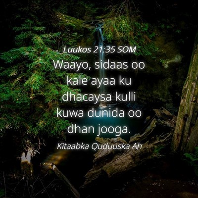 Picture 04 - Luukos 21:35 SOM - Waayo, sidaas oo kale ayaa ku dhacaysa kulli kuwa - Bible Verse Picture